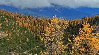 The Big Beehive 2270 m - Parc National de Banff Canada 2023